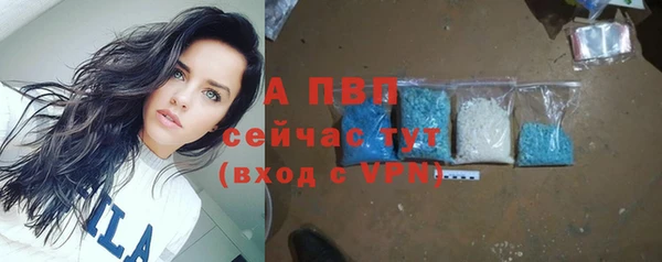 сатива Медногорск