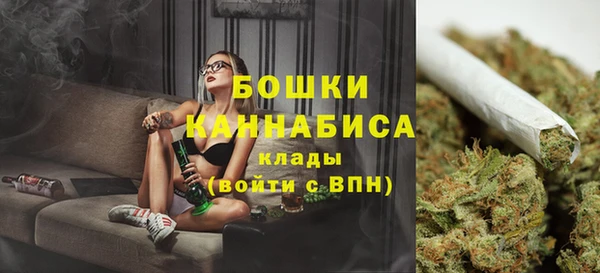 сатива Медногорск