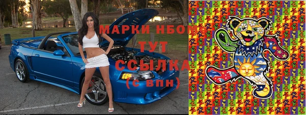 сатива Медногорск